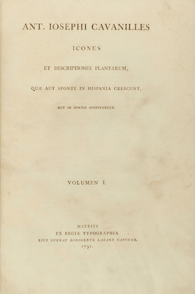 A. José Cabanillies, Tomo I