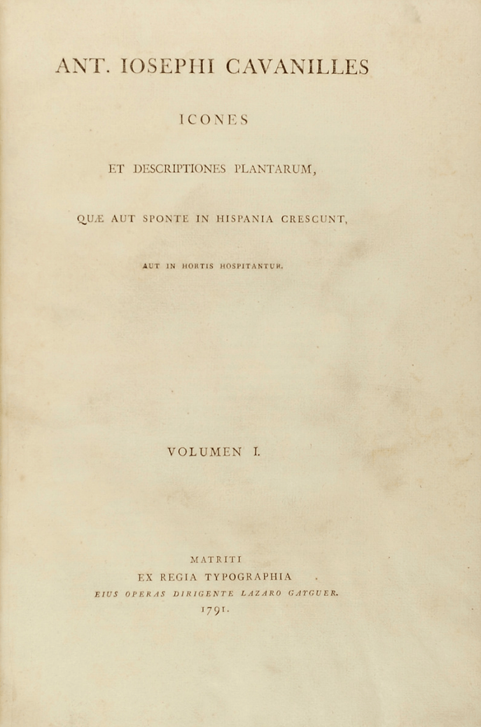 A. José Cabanillies, Tomo I