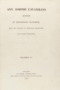 A. José Cabanillies, Tomo IV