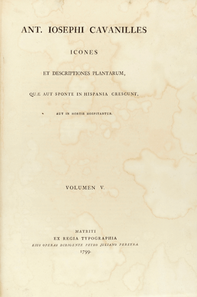 A. José Cabanillies, Tomo V