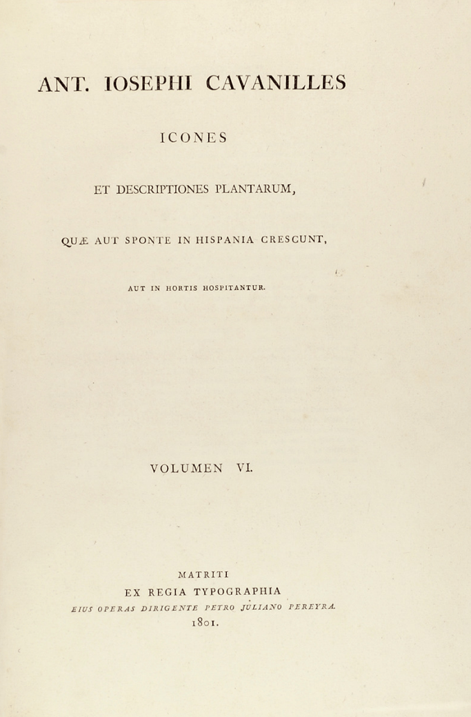 A. José Cabanillies, Tomo VI