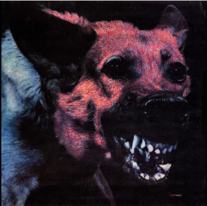 2014_Protomartyr: Under Color