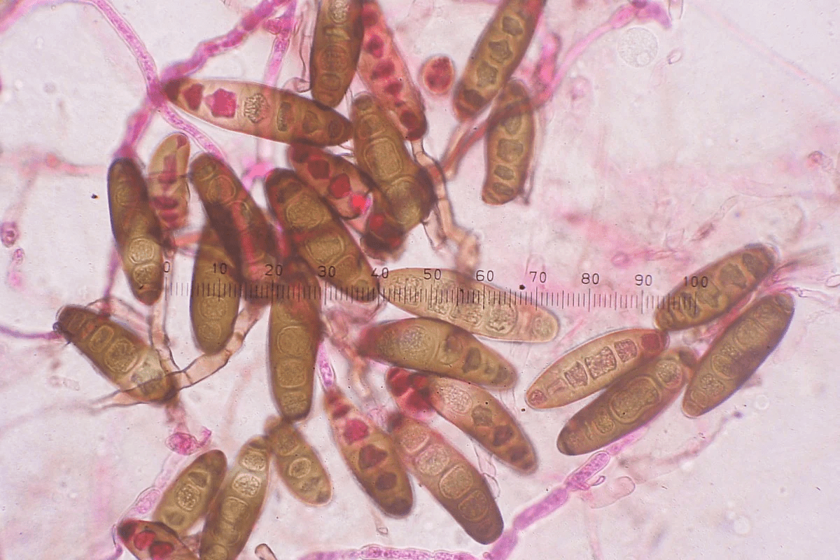 ¿El arresto del científico chino Jian Yunqing supondrá un mayor éxodo de talentos estadounidenses?